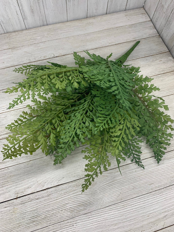 Maidenhair fern, greenery - Greenery Marketspring summer greenery25774