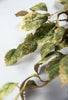 Metallic- leaf spray - green and gold - Greenery MarketgreeneryXG760-ggo