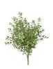 Mini Boxwood deep green greenery bush - Greenery Marketgreenery13414GN