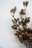 Mini flower bush - salmon - Greenery Market83831-SAL