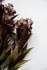 Mini flower & greenery bush - purple - Greenery Market83833-LV