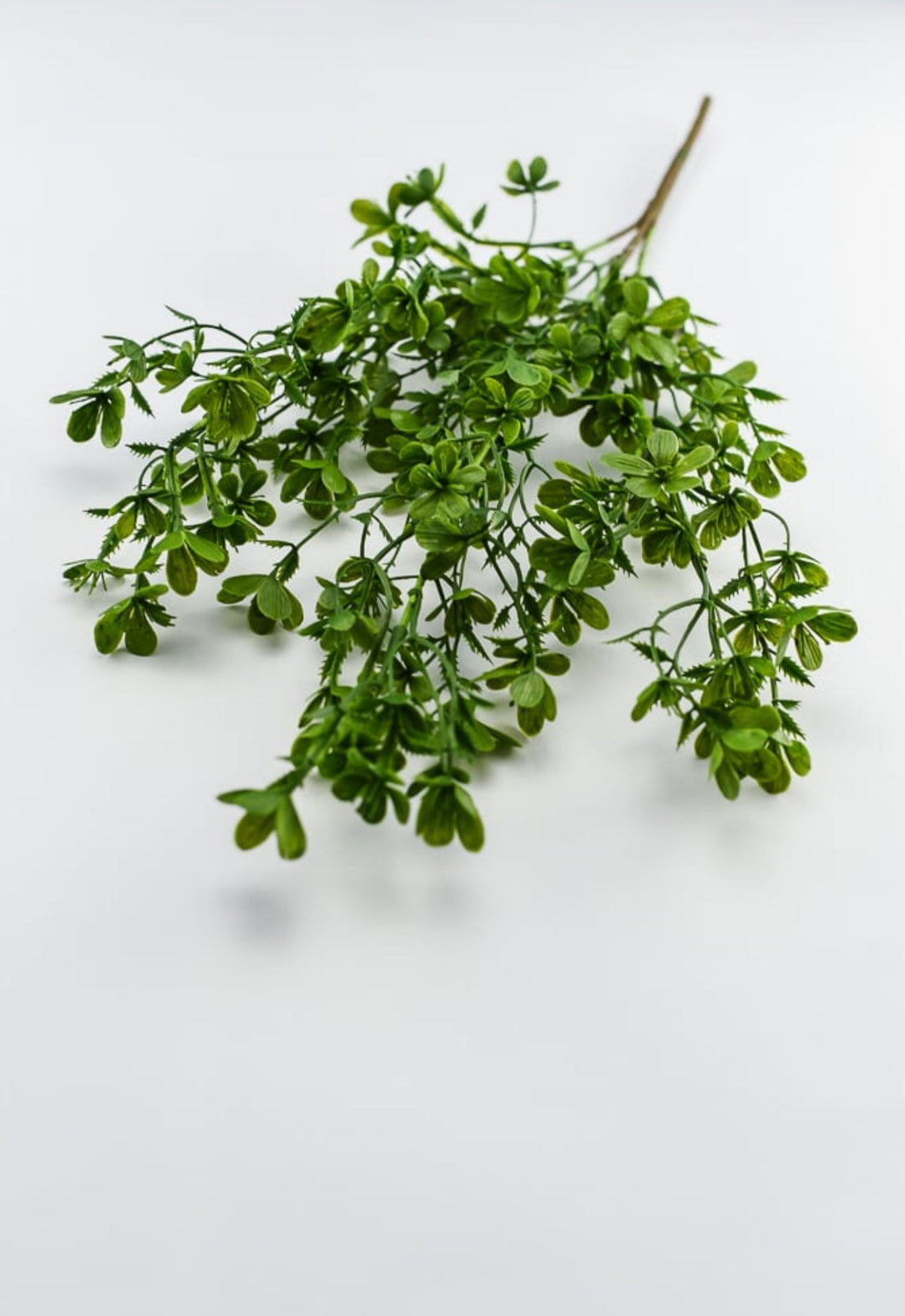 mini flowering greenery bush - Greenery Market84063