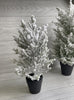 Mini potted Christmas tree - flocked 16” - Greenery Market Home decor