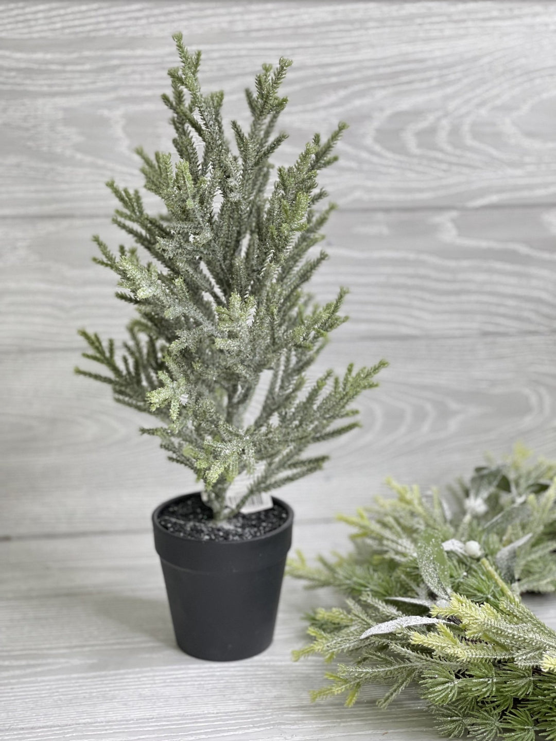 Mini potted Christmas tree - with ice 16” - Greenery Market Home decor