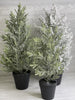 Mini potted Christmas tree - with ice 16” - Greenery Market Home decor