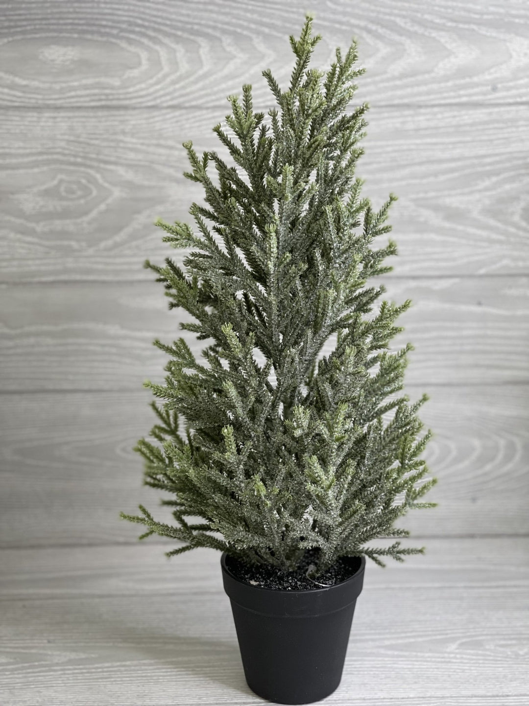 Mini potted Christmas tree - with ice 20” - Greenery Market Home decor