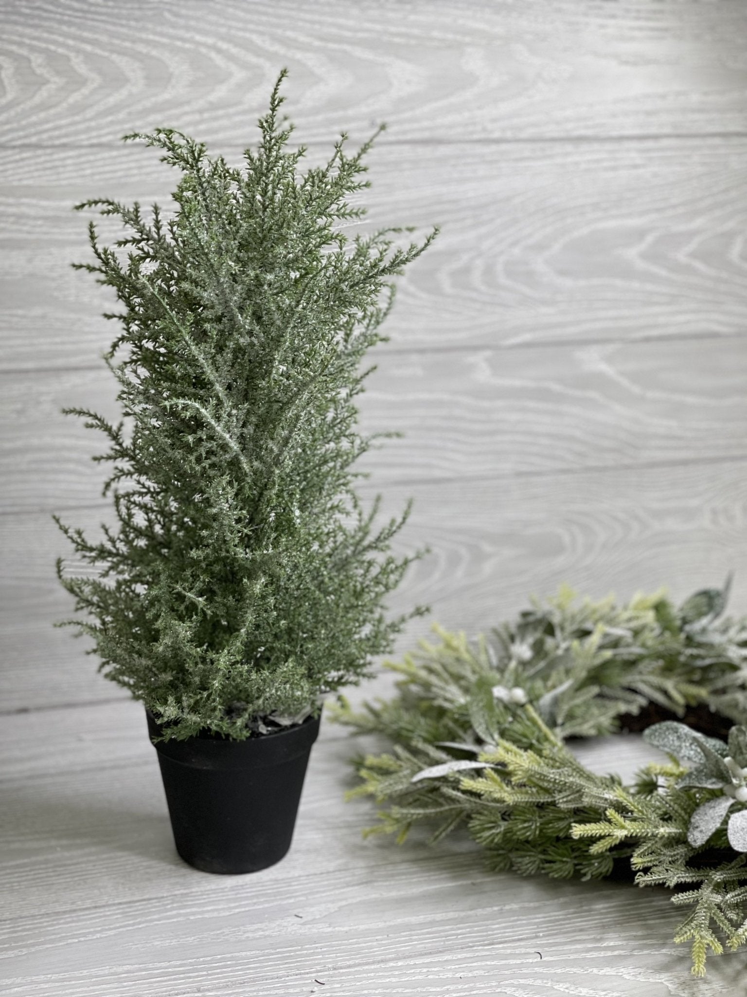 Mini potted Christmas tree - with ice 20” - Greenery Market Home decor