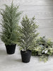 Mini potted Christmas tree - with ice 20” - Greenery Market Home decor
