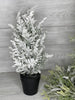 Mini potted Christmas tree - with snow 16” - Greenery Market Home decor