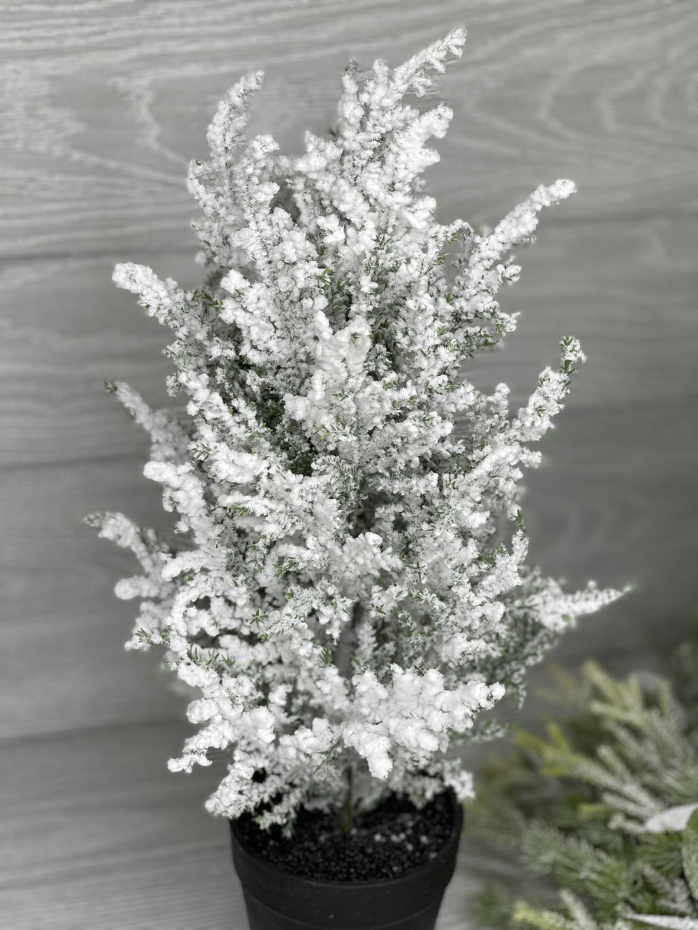 Mini potted Christmas tree - with snow 16” - Greenery Market Home decor