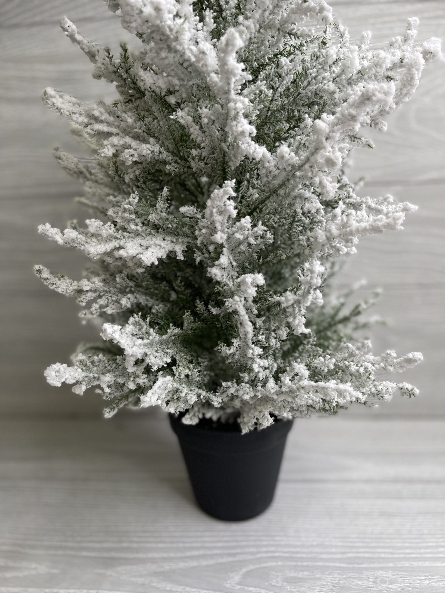 Mini potted Christmas tree - with snow 20” - Greenery Market Home decor