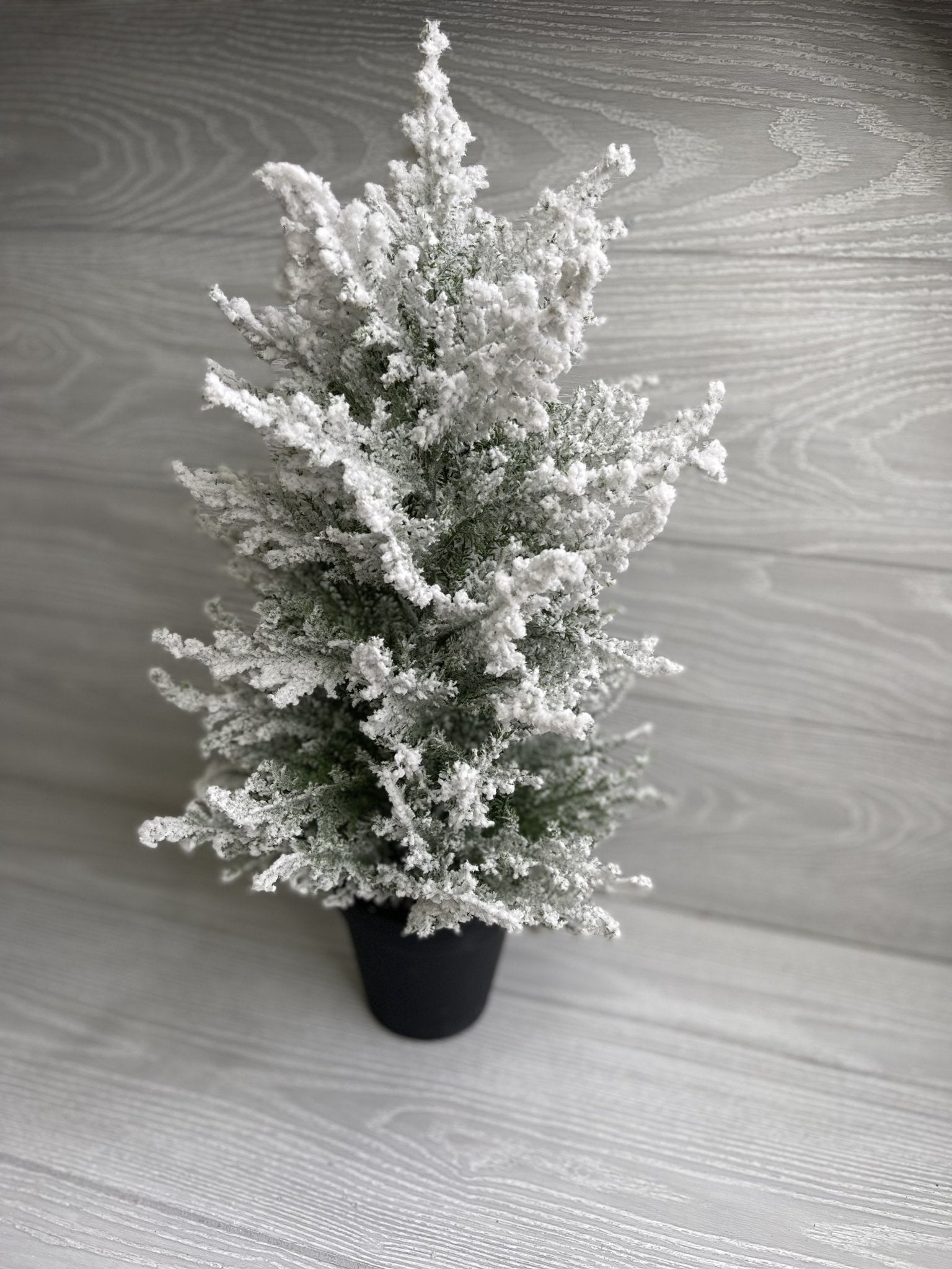 Mini potted Christmas tree - with snow 20” - Greenery Market Home decor