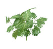Mini Tropical leaves plant bush - Greenery Marketgreenery13398gn