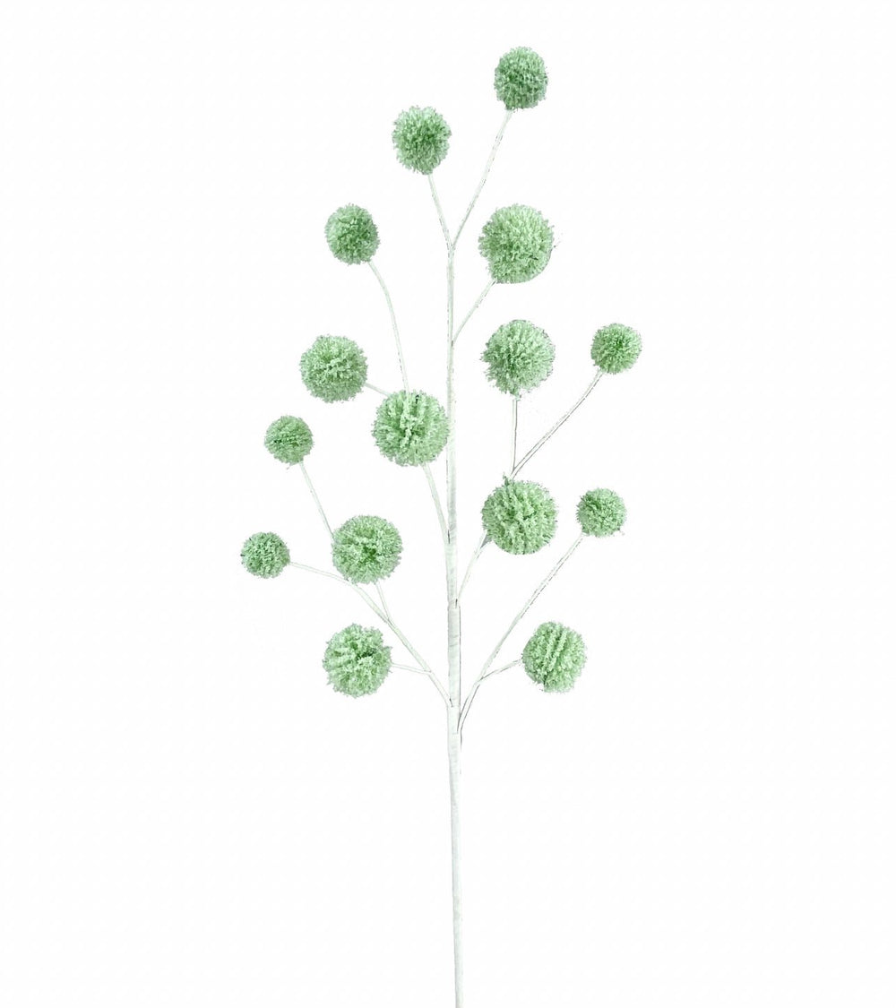 Mint ball allium spray with snow - Greenery MarketPicks85550mint