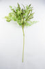 Mixed fern and leaves spray - Greenery MarketArtificial Flora61639