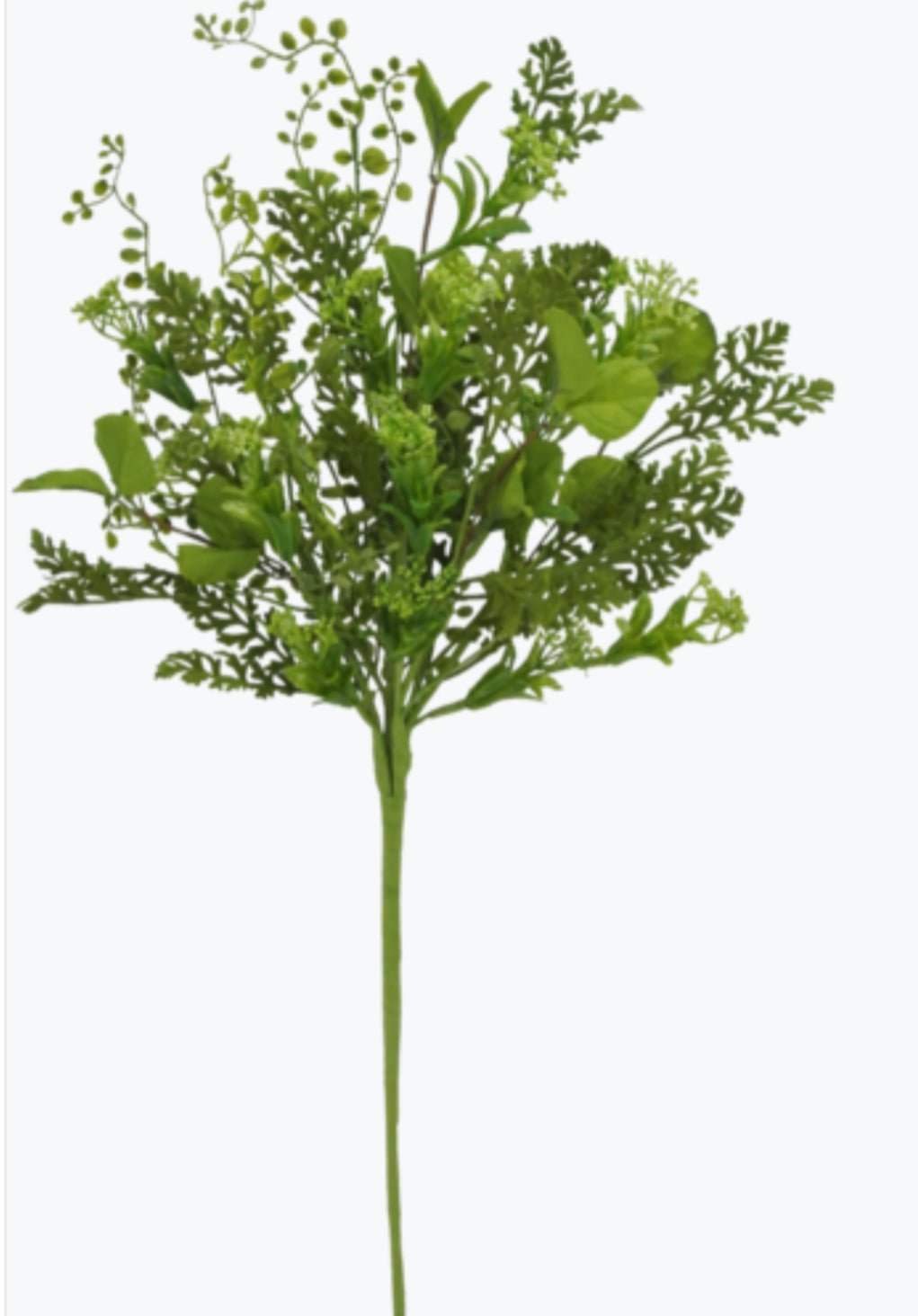 Mixed fern boxwood greenery spray - Greenery Marketgreenery62649
