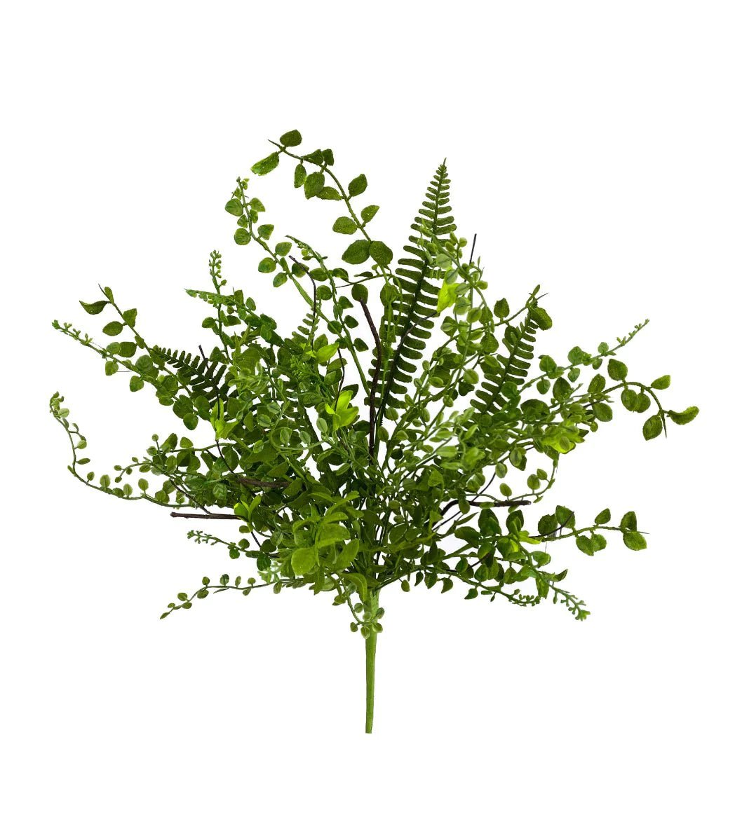 Mixed greenery - mixed fern and leaves - Greenery Marketgreenery63039BU21