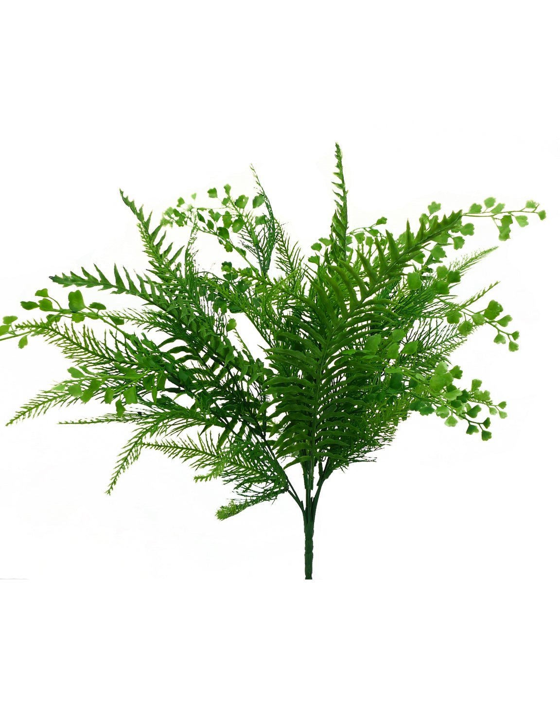 Mixed greenery - mixed ferns bush - Greenery Marketgreenery13485gn