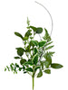 Mixed Leaf and fern pick - Greenery Market63461SP16