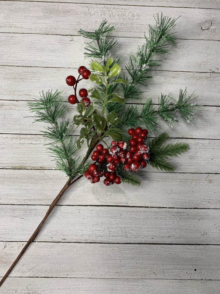 Mixed pine and boxwood with red berries pick - Greenery Market greenery