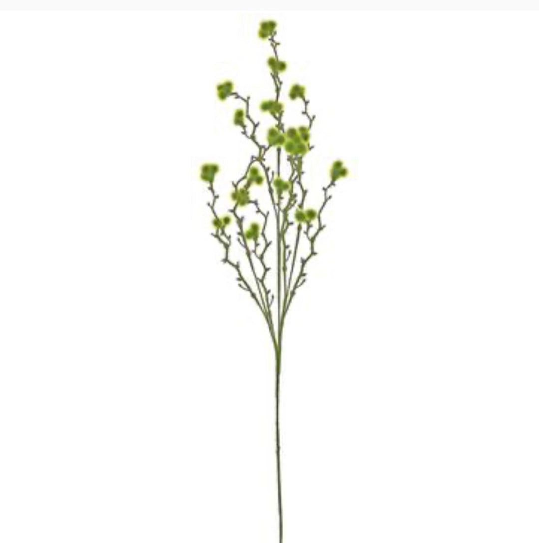 Moss ball branch - Greenery MarketS1400-g