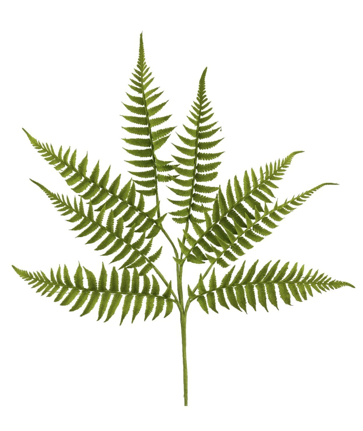 Moss fern spray - Greenery MarketArtificial Flora13521gn