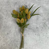 Mustard thistle bundle - Greenery Marketartificial flowers26695