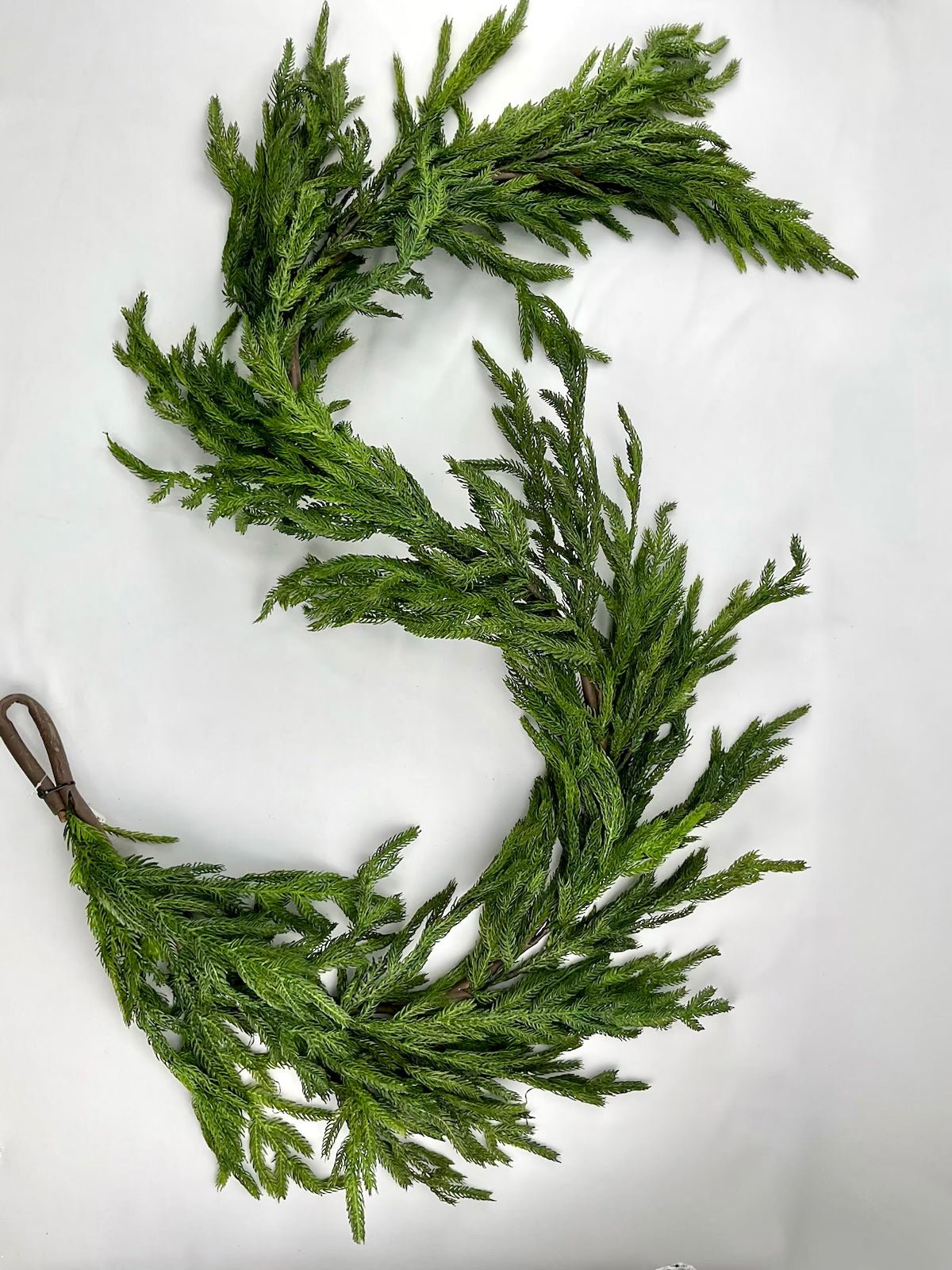 Norfolk pine garland 6’ Greenery Market