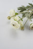 Off white ranunculus spray - Greenery Market84072-CR