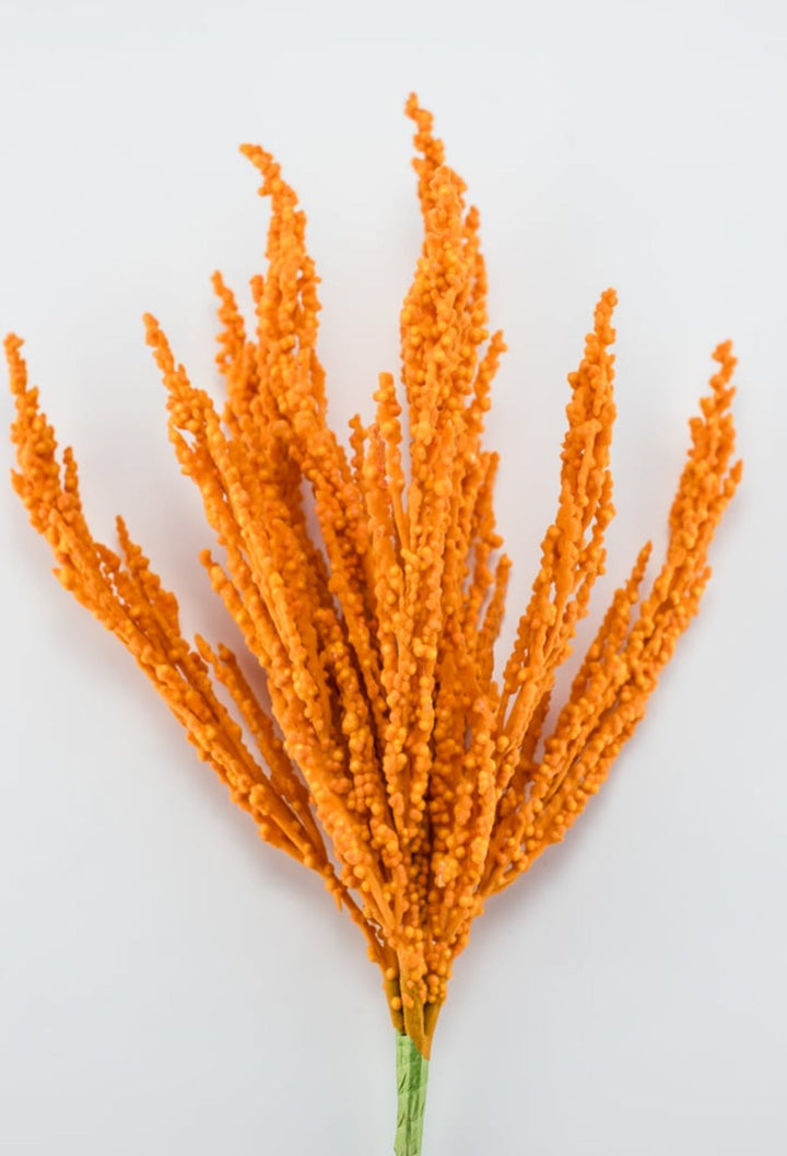 Orange fuzzy astilbe bush - Greenery Market83427-or