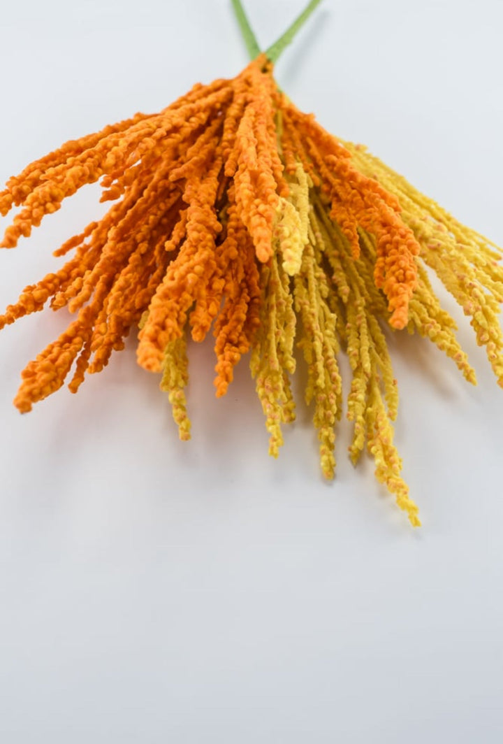 Orange fuzzy astilbe bush - Greenery Market83427-or