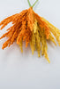Orange fuzzy astilbe bush - Greenery Market83427-or