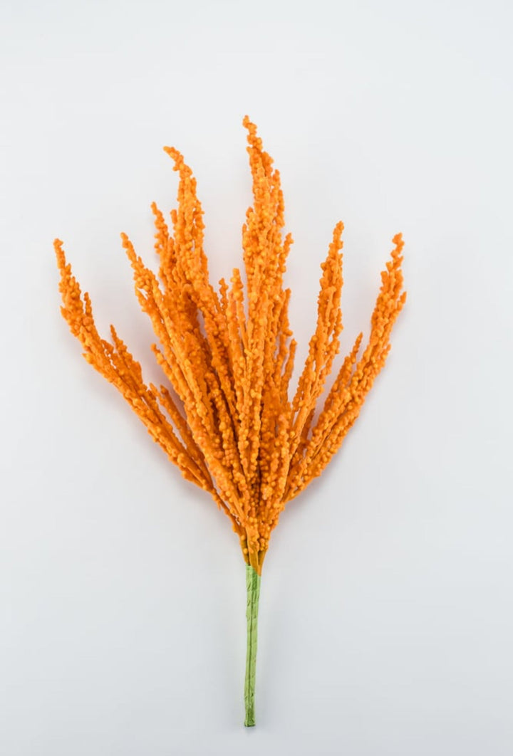 Orange fuzzy astilbe bush - Greenery Market83427-or