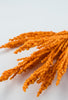 Orange fuzzy astilbe bush - Greenery Market83427-or