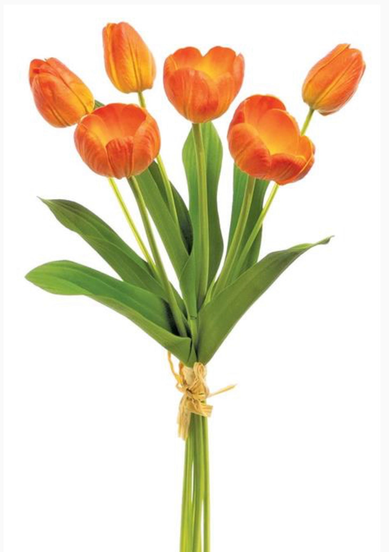 Orange soft touch tulip bundle - Greenery Market3876-FLOG