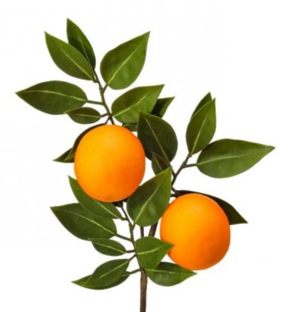 Oranges fruit pick with mixed greenery - Greenery MarketOrangesMTF24376