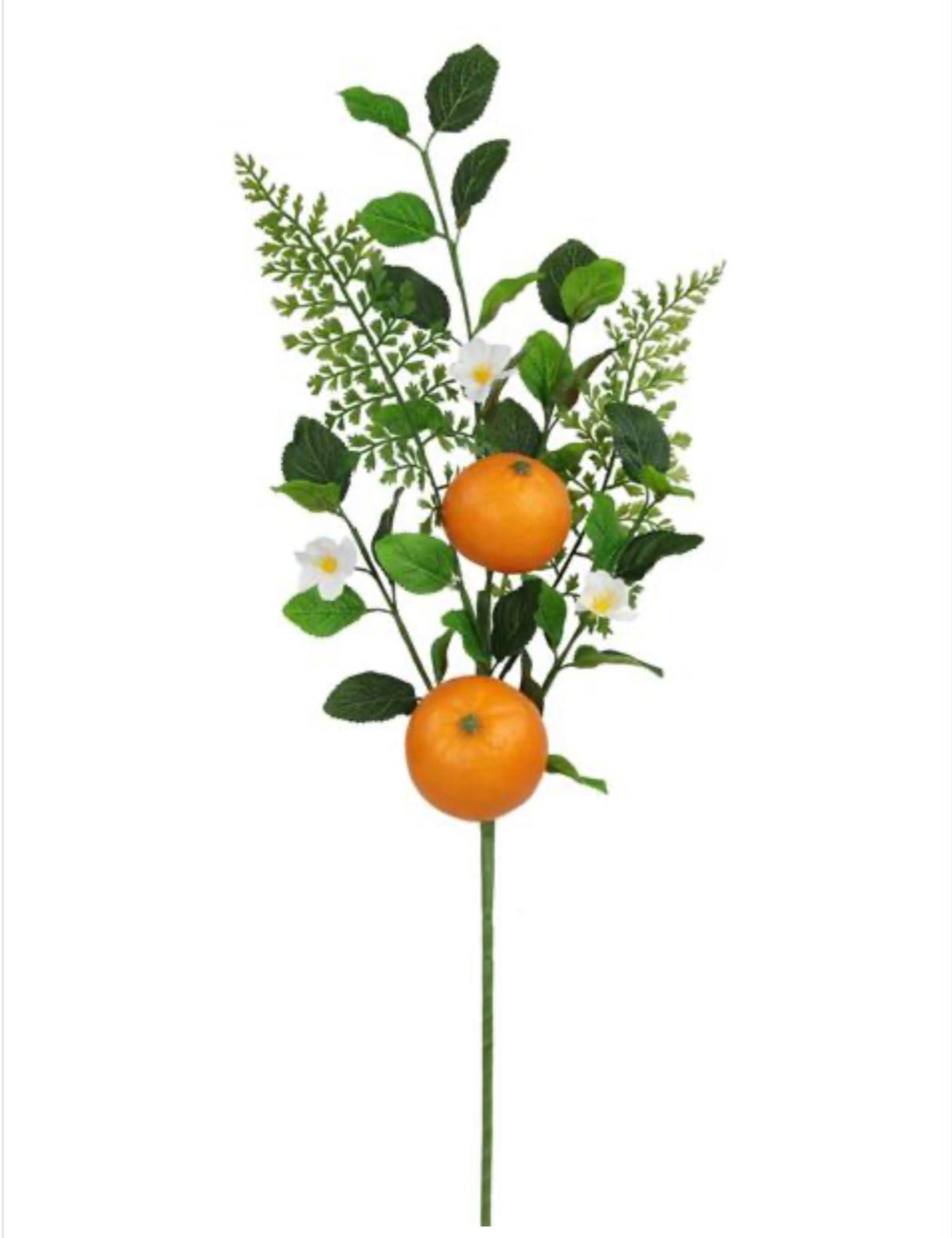 Oranges fruit spray with mixed greenery - Greenery MarketOrangesEC8266