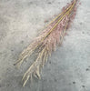 Pampas reed bundle - dusty mauve pink - Greenery MarketArtificial Flora25909