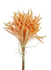 peach filler grass bundle - Greenery Market2150141PE