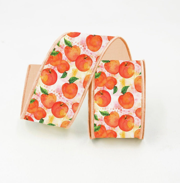 Peaches 2.5” farrisilk wired ribbon - Greenery MarketRibbons & TrimRk233-52