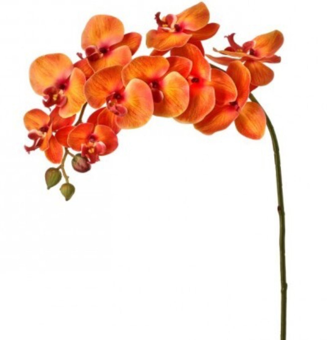 phalaenopsis, fancy orchid Flower stem - bright orange - Greenery MarketArtificial FloraMTF22791 ORNG