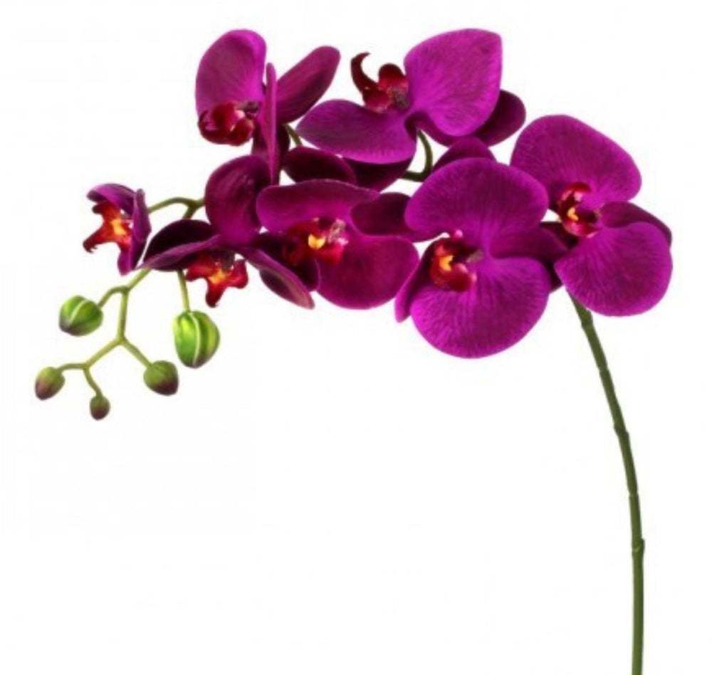 phalaenopsis, natural touch, orchid Flower spray - Violet - Greenery MarketArtificial FloraMTF20967 VIOL