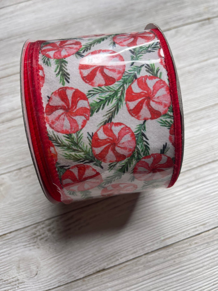 Pine and peppermint 2.5” farrisilk wired ribbon - Greenery MarketRibbons & TrimRK088-47