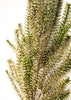 Pine spray with glitter 26” - Greenery MarketXg765-lgog