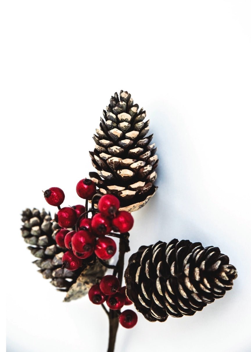 Pinecone and berries pick - Greenery MarketPicksMTX67990