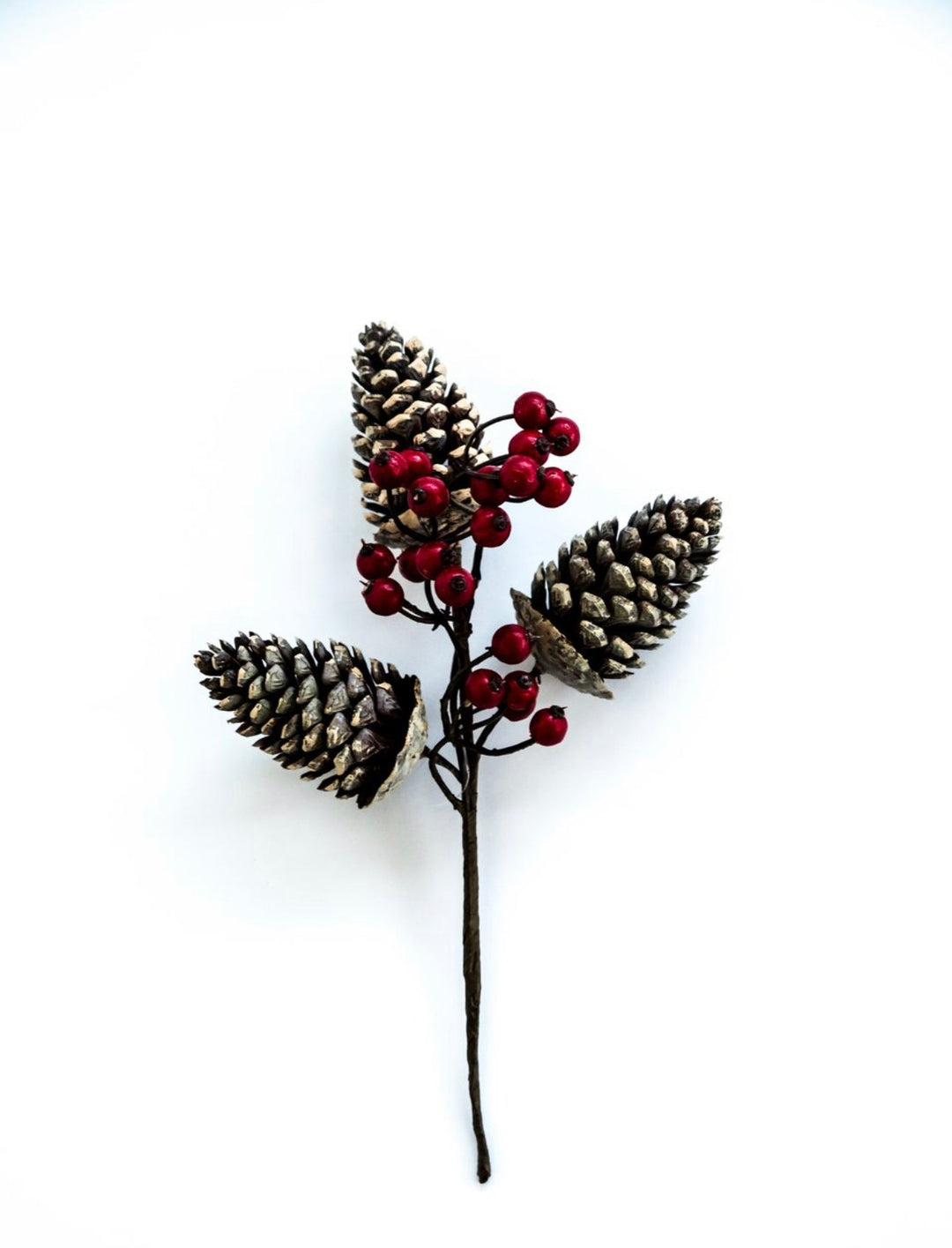 Pinecone and berries pick - Greenery MarketPicksMTX67990