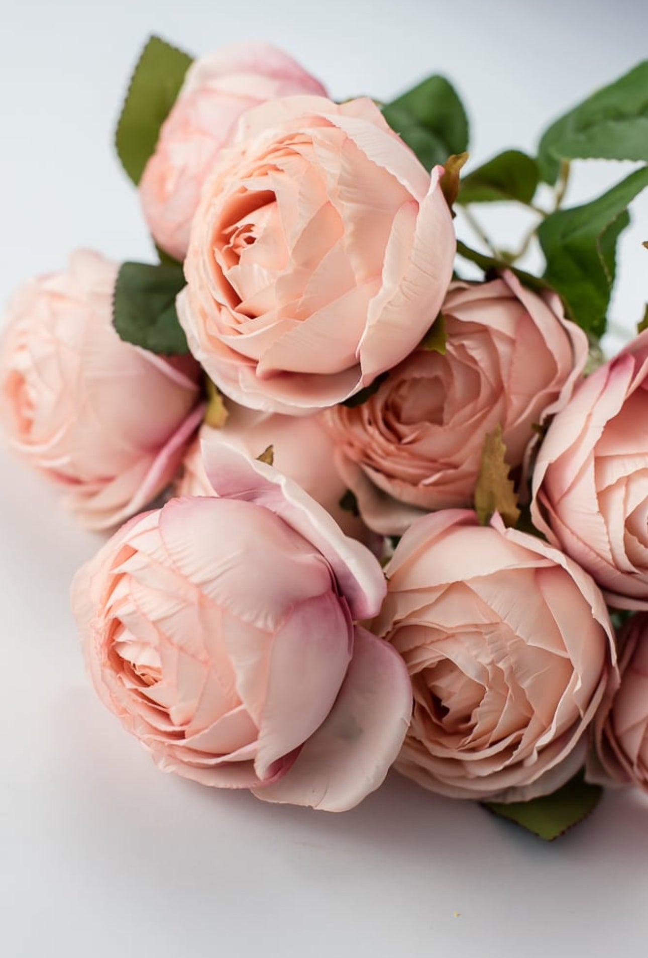 Cabbage Rose Bouquet