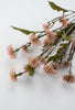 Pink mauve, Sweet daisy thistle spray - Greenery Marketgreenery56663MV
