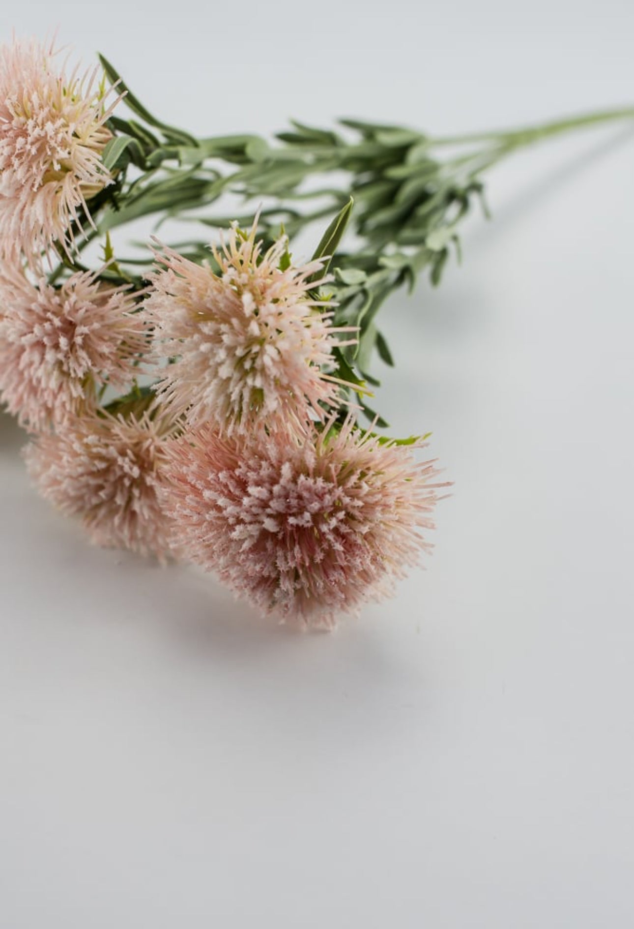 Pink thistle bush - Greenery Marketartificial flowers27014