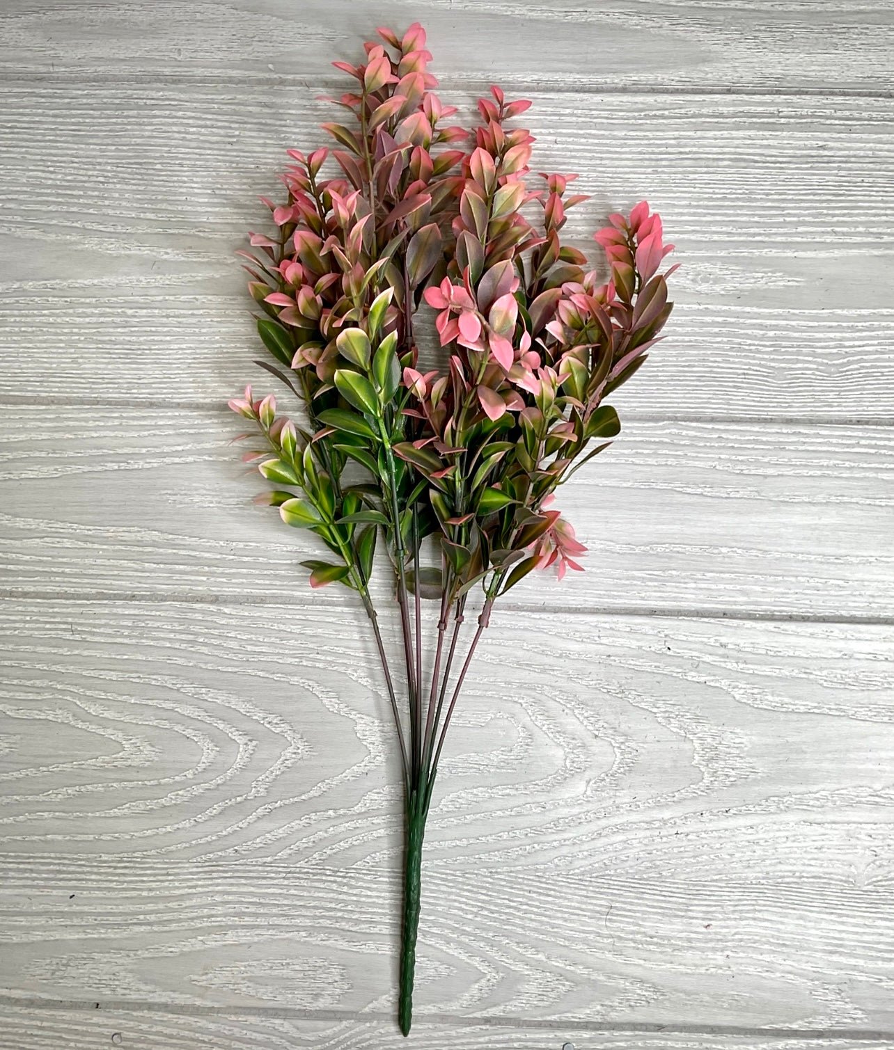 Pink tip boxwood greenery bush - Greenery MarketArtificial Flora57626
